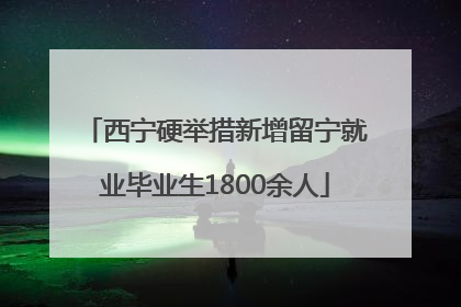 西宁硬举措新增留宁就业毕业生1800余人