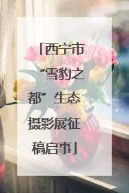 西宁市“雪豹之都”生态摄影展征稿启事