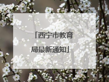 西宁市教育局最新通知