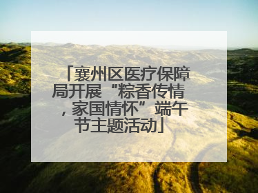 襄州区医疗保障局开展“粽香传情，家国情怀”端午节主题活动