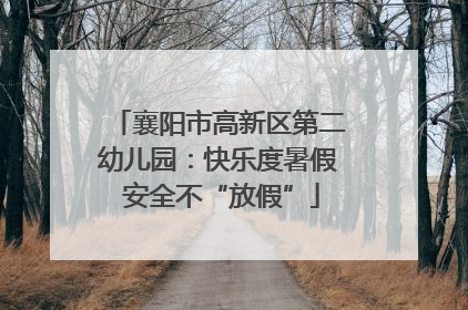 襄阳市高新区第二幼儿园：快乐度暑假 安全不“放假”