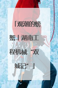 观潮的螃蟹丨湖南工程机械“双城记”