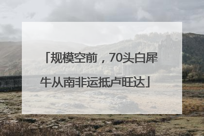 规模空前，70头白犀牛从南非运抵卢旺达