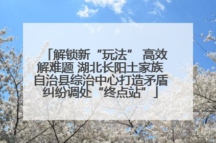 解锁新“玩法” 高效解难题 湖北长阳土家族自治县综治中心打造矛盾纠纷调处“终点站”