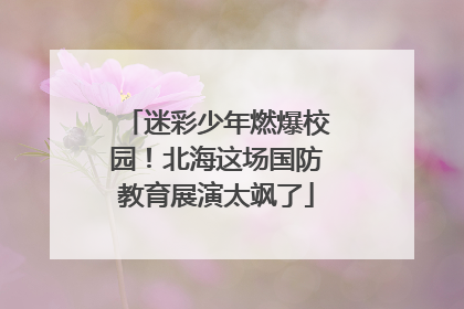 迷彩少年燃爆校园！北海这场国防教育展演太飒了