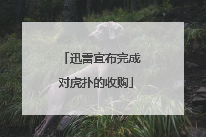 迅雷宣布完成对虎扑的收购