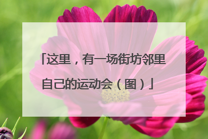 这里，有一场街坊邻里自己的运动会（图）
