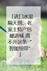 进口水果隔天到、老家土特产包邮进城 离不开这条“智能纽带”
