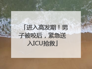 进入高发期！男子被咬后，紧急送入ICU抢救