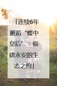 连续6年邂逅“蝶中皇后”：福建永安的生态之约