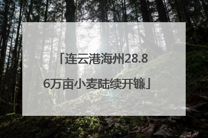 连云港海州28.86万亩小麦陆续开镰