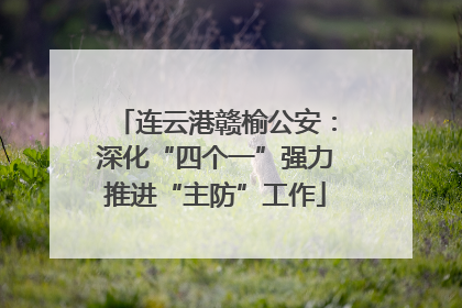 连云港赣榆公安：深化“四个一”强力推进“主防”工作