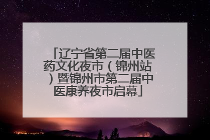 辽宁省第二届中医药文化夜市（锦州站）暨锦州市第二届中医康养夜市启幕