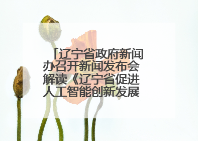 辽宁省政府新闻办召开新闻发布会解读《辽宁省促进人工智能创新发展实施方案》