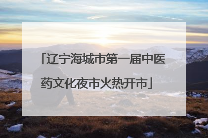 辽宁海城市第一届中医药文化夜市火热开市