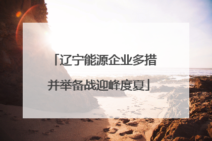 辽宁能源企业多措并举备战迎峰度夏
