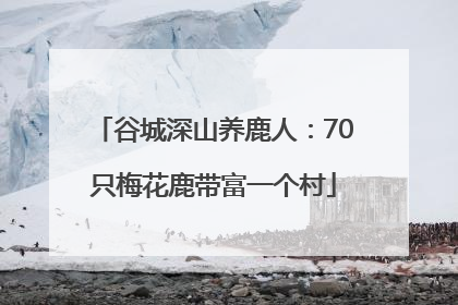 谷城深山养鹿人：70只梅花鹿带富一个村