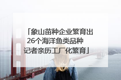 象山苗种企业繁育出26个海洋鱼类品种 记者亲历工厂化繁育