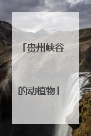 贵州峡谷的动植物