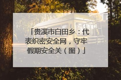 贵溪市白田乡：代表织密安全网，守牢假期安全关（图）