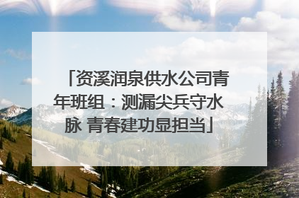 资溪润泉供水公司青年班组：测漏尖兵守水脉 青春建功显担当