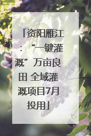资阳雁江：“一键灌溉”万亩良田 全域灌溉项目7月投用