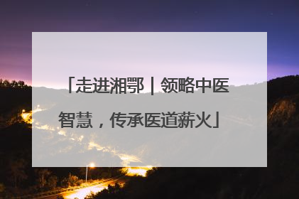 走进湘鄂｜领略中医智慧，传承医道薪火