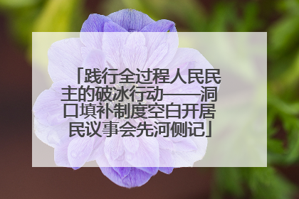 践行全过程人民民主的破冰行动——洞口填补制度空白开居民议事会先河侧记