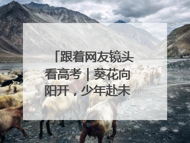 跟着网友镜头看高考｜葵花向阳开，少年赴未来，安乡高考首日的希望图景