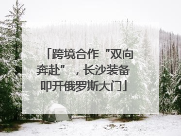 跨境合作“双向奔赴”，长沙装备叩开俄罗斯大门