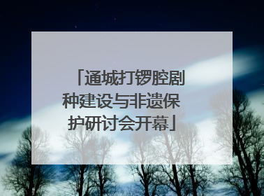 通城打锣腔剧种建设与非遗保护研讨会开幕