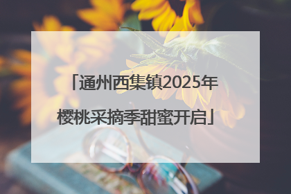 通州西集镇2025年樱桃采摘季甜蜜开启