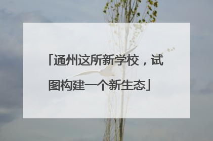 通州这所新学校，试图构建一个新生态