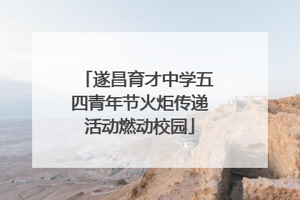 遂昌育才中学五四青年节火炬传递活动燃动校园