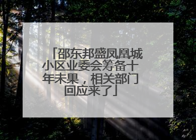 邵东邦盛凤凰城小区业委会筹备十年未果，相关部门回应来了
