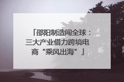 邵阳制造闯全球：三大产业借力跨境电商“乘风出海”