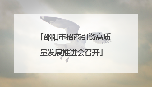 邵阳市招商引资高质量发展推进会召开