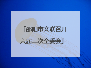 邵阳市文联召开六届二次全委会