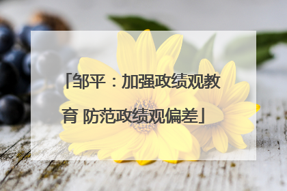 邹平：加强政绩观教育 防范政绩观偏差