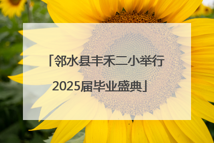 邻水县丰禾二小举行2025届毕业盛典