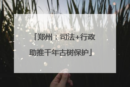 郑州：司法+行政助推千年古树保护