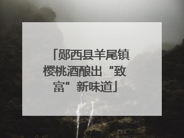 郧西县羊尾镇樱桃酒酿出“致富”新味道