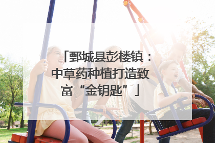 鄄城县彭楼镇：中草药种植打造致富“金钥匙”