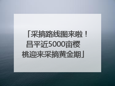 采摘路线图来啦！昌平近5000亩樱桃迎来采摘黄金期