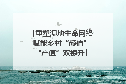 重塑湿地生命网络 赋能乡村“颜值”“产值”双提升