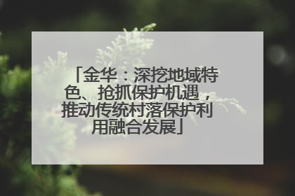 金华：深挖地域特色、抢抓保护机遇，推动传统村落保护利用融合发展