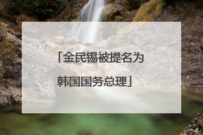 金民锡被提名为韩国国务总理