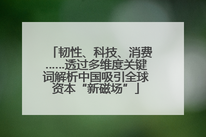 韧性、科技、消费……透过多维度关键词解析中国吸引全球资本“新磁场”