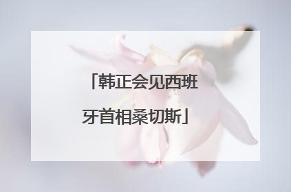 韩正会见西班牙首相桑切斯