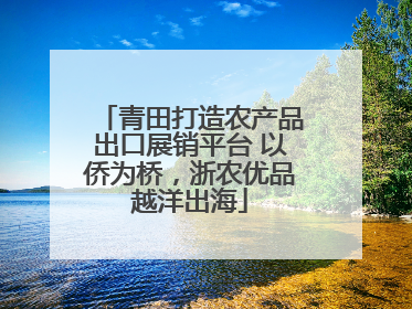 青田打造农产品出口展销平台 以侨为桥，浙农优品越洋出海